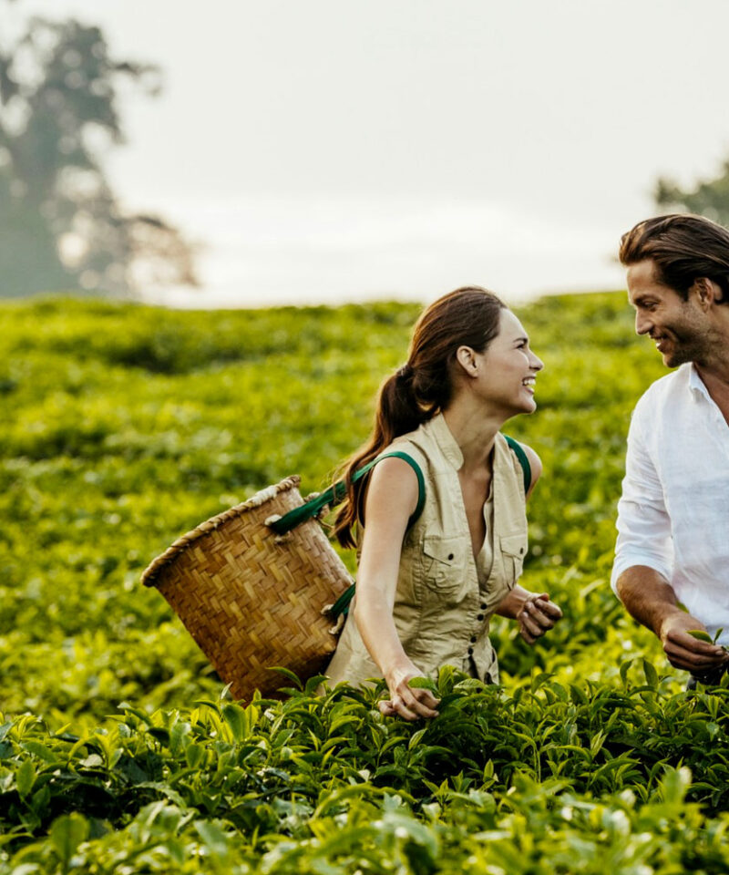 honeymoon-fly-in-safaris-in-rwanda