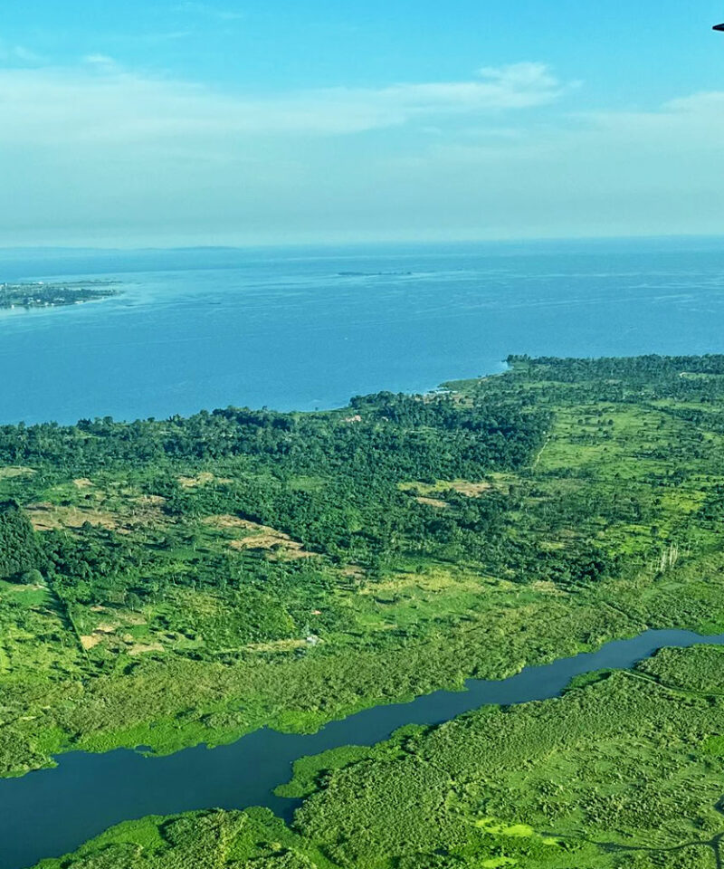 4-days-luxury-chimp-trek-in-kibale-forest