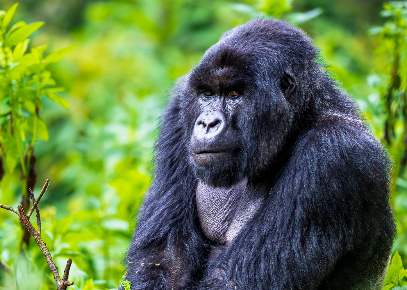 Best Places to Visit in Uganda & Rwanda