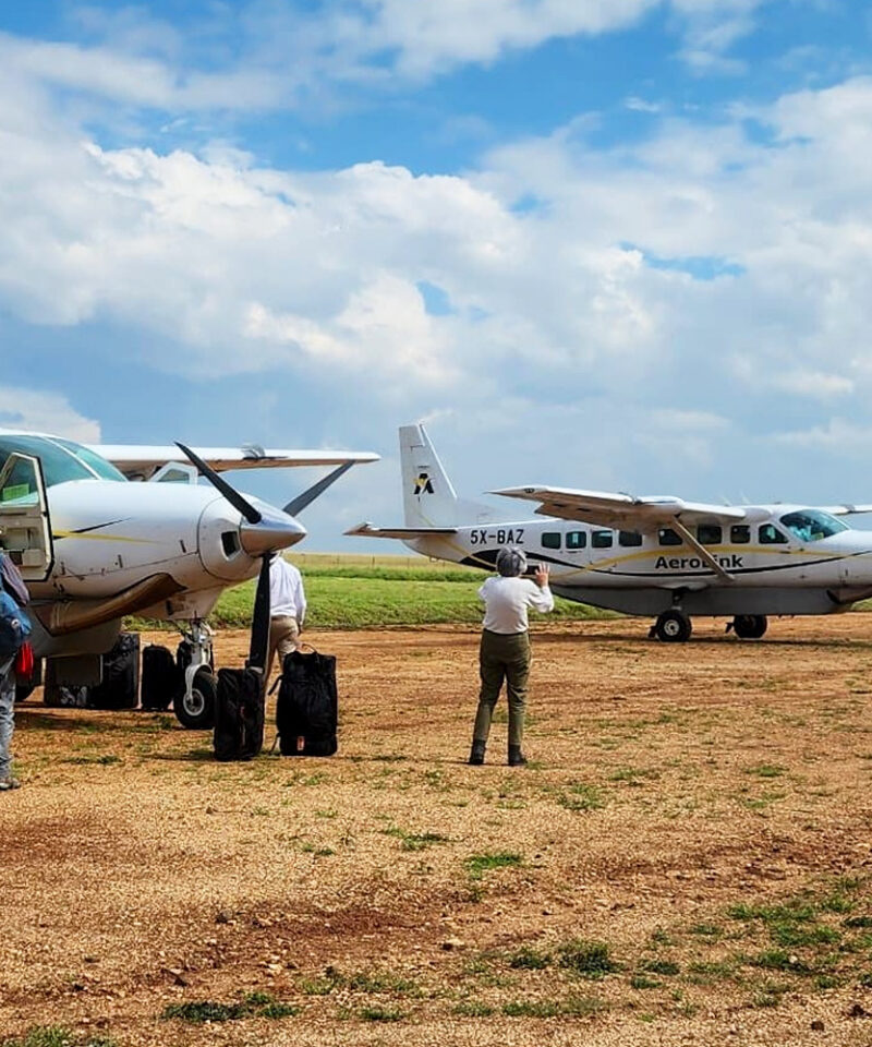3-day-fly-murchison-falls-safari