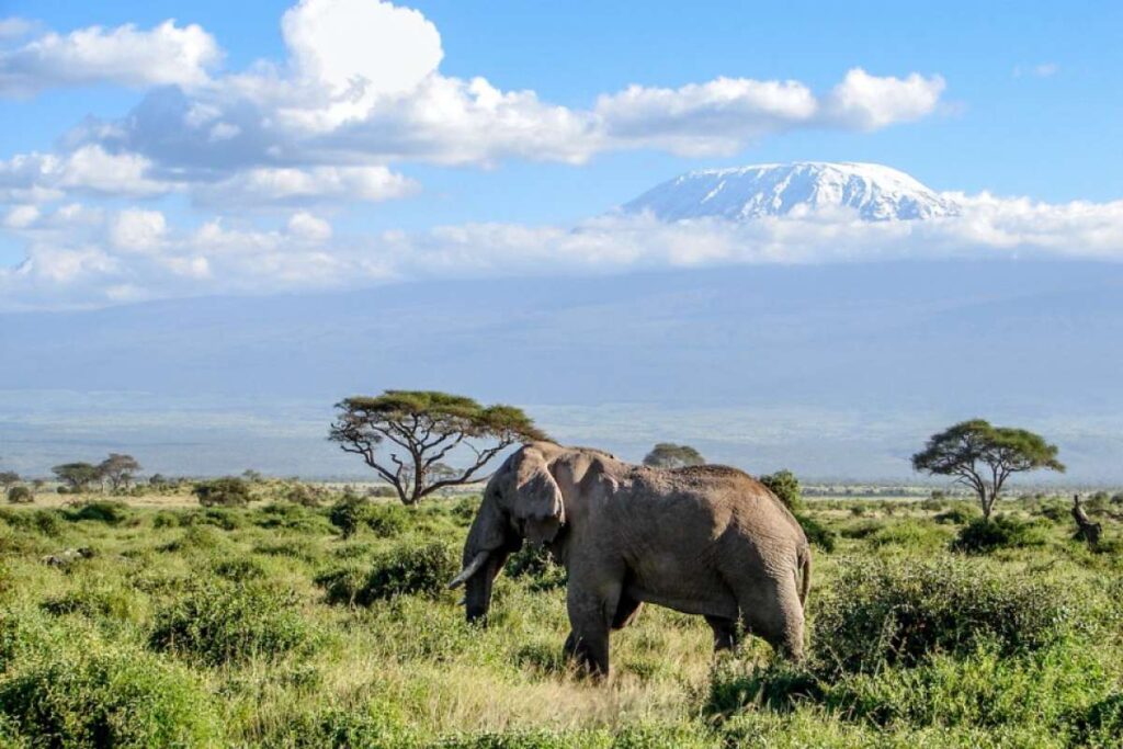 7 Days Kenya Great Rift Valley Safari
