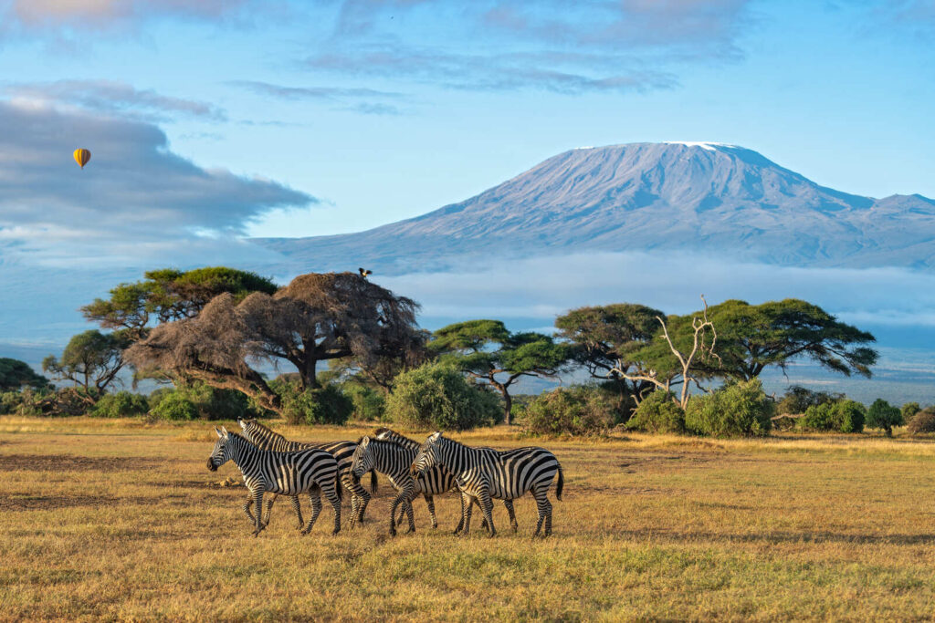 Amboseli
