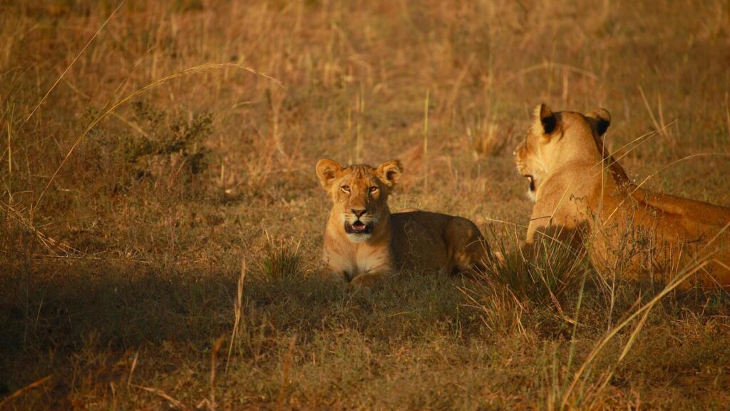 Amboseli National Park