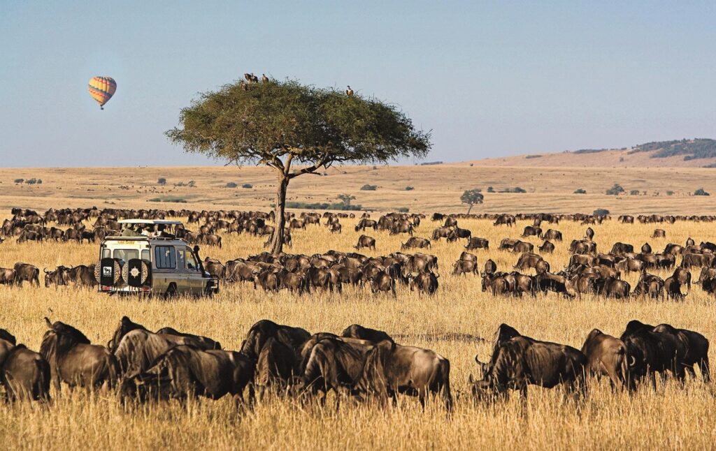 Great Wildebeest Migration