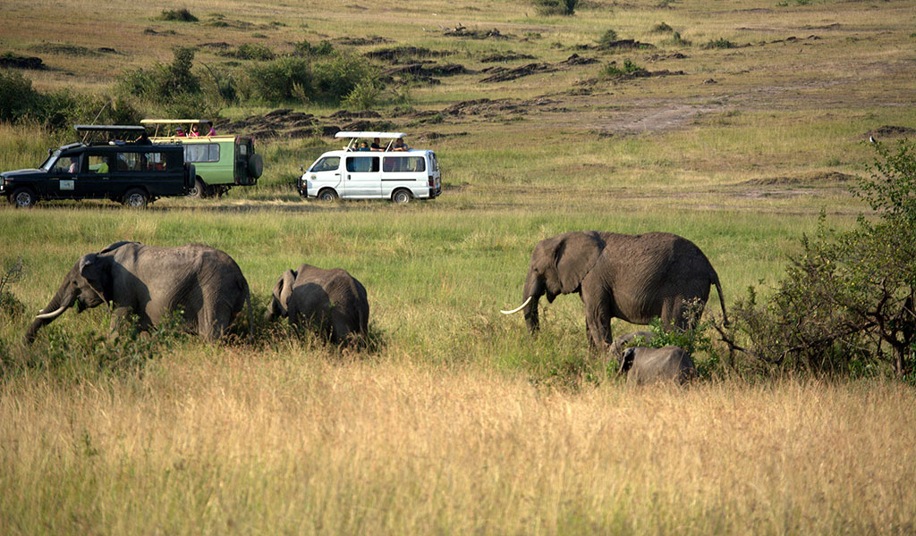 Kenya Big Five Adventure Trip