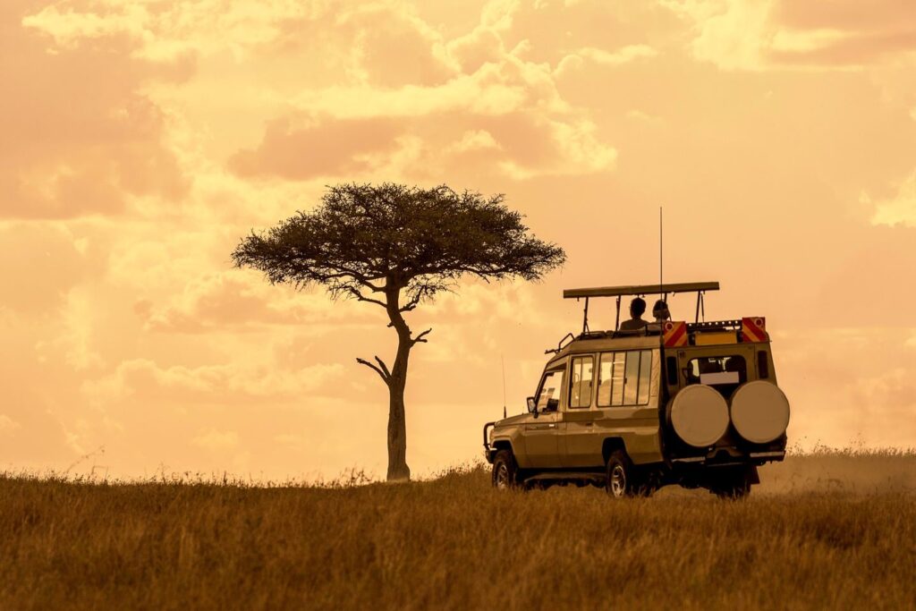 Kenya Safari Vacation