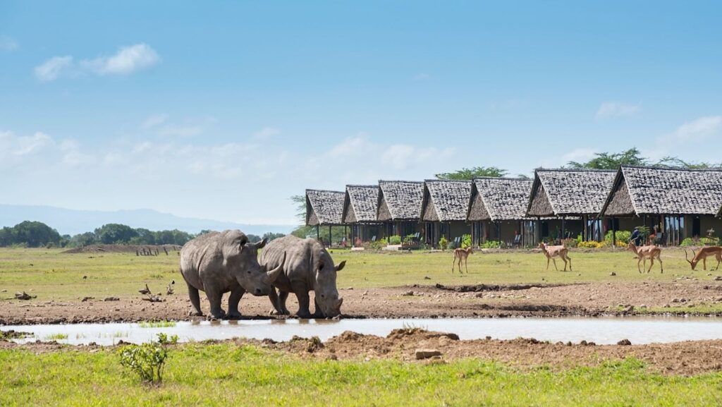 Luxury Kenya Safaris