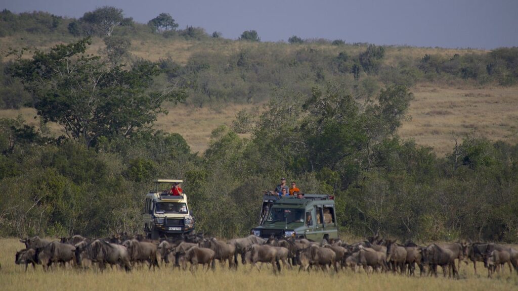Maasai Mara National Reserve