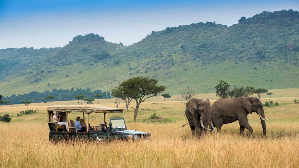 Seeing Elephants on a Game Drive in the Masaai Mara National Park