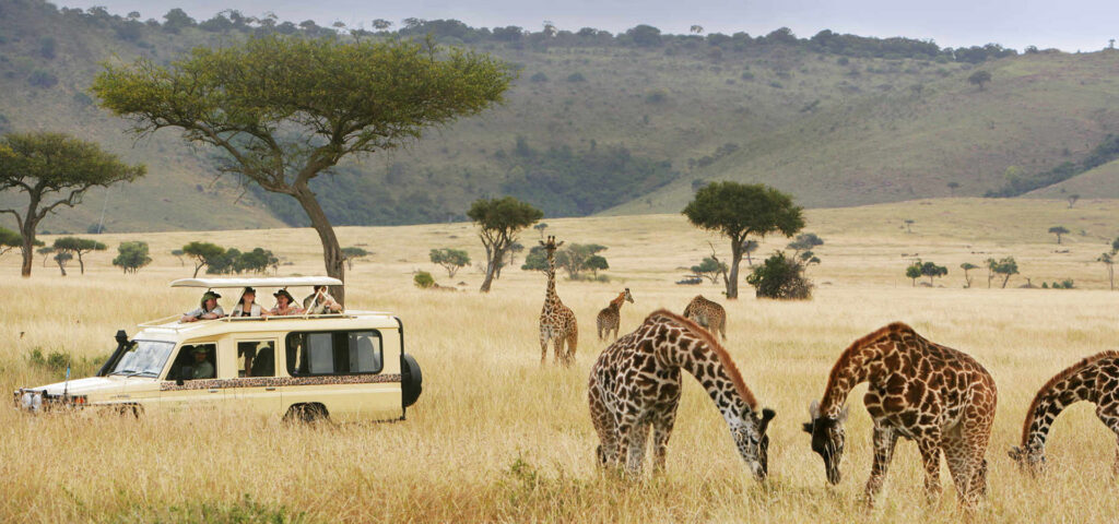 Kenya Wildlife Safaris