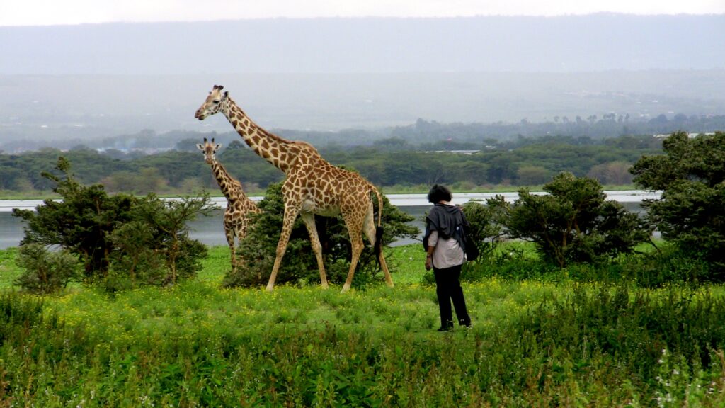 Explore Kenya Safaris