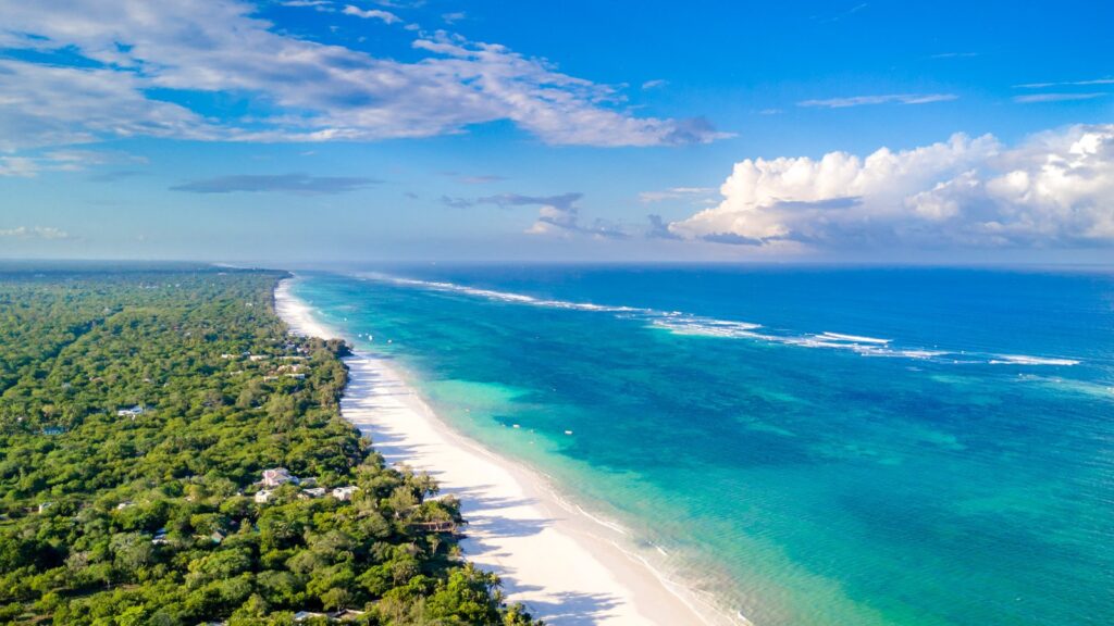 Safari Holiday in Diani Beach Kenya