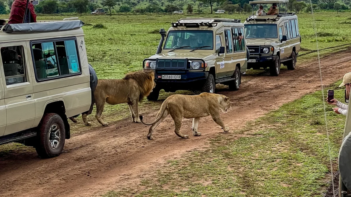 10-Day Classic Safari Adventure to Kenya & Tanzania