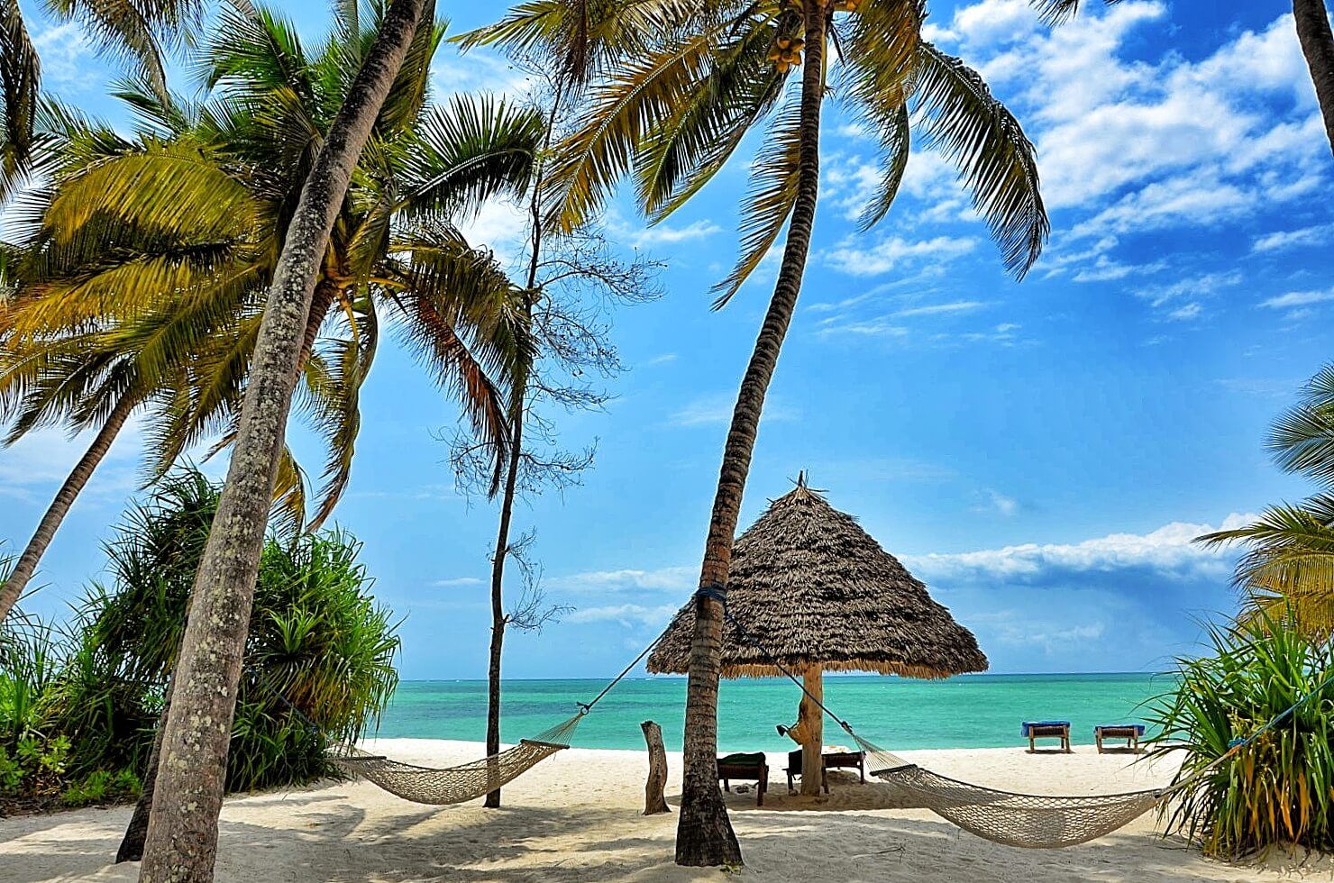 11-Day Tanzania Midrange Safari + Zanzibar Beach
