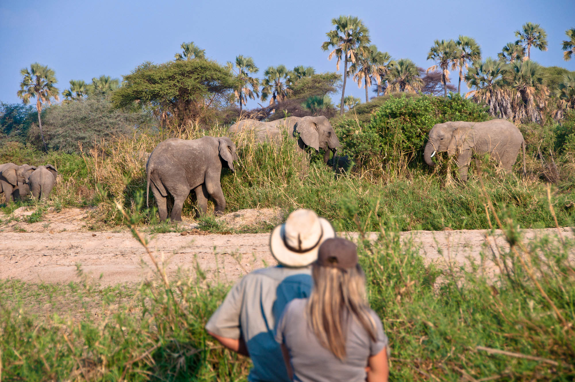 12-Day Tanzania Safari & Walking Adventure