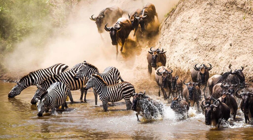 4-Day Best Tarangire, Serengeti & Ngorongoro Trip