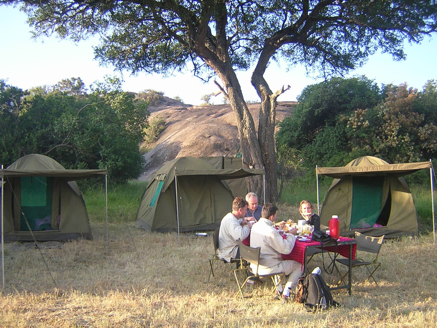 4-Day Tanzania Mix Camping/Lodge Xmas & New Year Offer